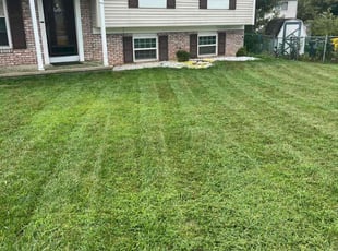 Mabel C.'s Yard Cutting service result
