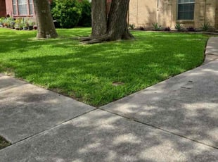 Marie W.'s Lawn Maintenance service result