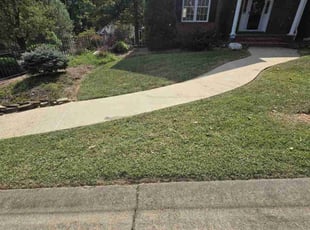 Marco C.'s Grass Cutting service result