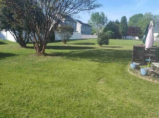 Dale W.'s Lawn Maintenance service result