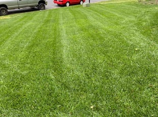 Cameron S.'s Lawn Mowing Service service result