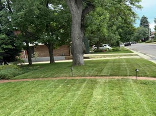 Sue J.'s Lawn Maintenance service result