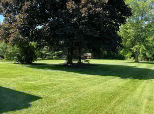 Christie A.'s Yard Cutting service result