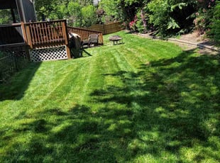 John T.'s Lawn Service service result