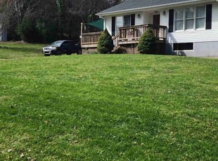 Carina G.'s Yard Cutting service result