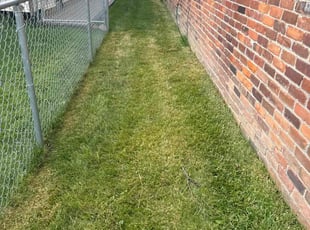Erica J.'s Lawn Mowing Service service result