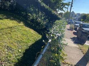 Bush Trimming by James Abernathy for Ernst S. in Cincinnati, OH