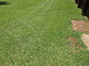 Ian M.'s Lawn Service service result
