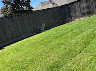 James B.'s Lawn Mowing service result