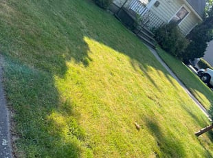 Aj S.'s Lawn Service service result