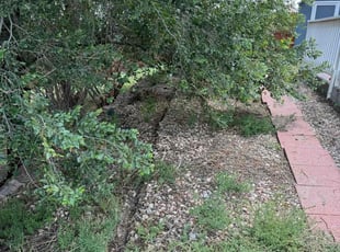 Cleanups by Karyn Squires for Christopher L. in Colorado Springs, CO