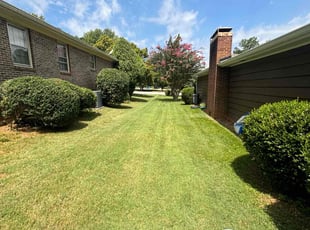 bianca s.'s Lawn Mowing Service service result