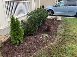 Weeding by Trevor Dash for D H. in Glen Burnie, MD