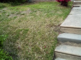 Cleanups by Charles Pease for Tyliah P. in Philadelphia, PA
