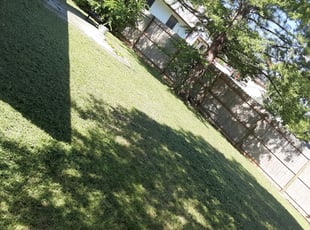 Cleanups by Danny Shipman for Regina L. in Converse, TX