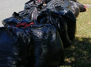 Cleanups by Susan Sanbower for Laura H. in Lakeland, FL