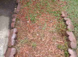 Weeding by Mikal James for Chris R. in Charlotte, NC