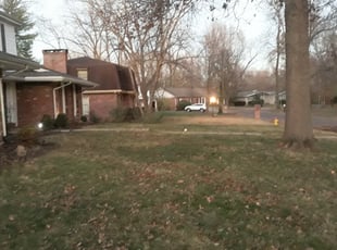 Leaf Removal by Timothy Howell for Noriaki M. in St. Louis, MO