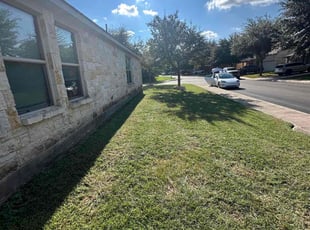 Melody S.'s Lawn Mowing service result