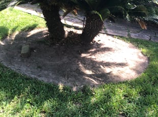 Cleanups by Derrick Koontz for Jennifer H. in Houston, TX