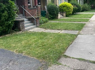 Sandy G.'s Lawn Service service result