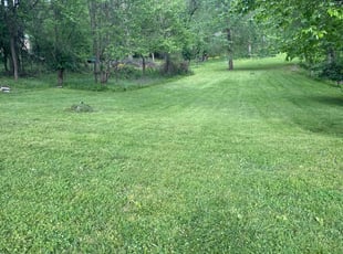 Thelia S.'s Lawn Mowing Service service result