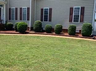 Bush Trimming by Dustin Rowland for Rion D. in Chester, VA
