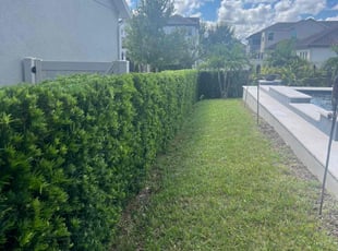 Janine S.'s Lawn Care service result
