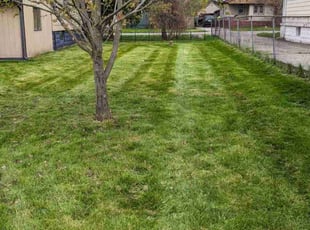 Francis I.'s Lawn Mowing service result
