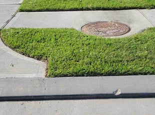 Laurie M.'s Grass Cutting service result