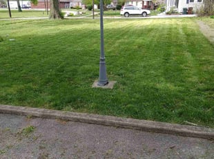 Sherry D.'s Lawn Mowing service result
