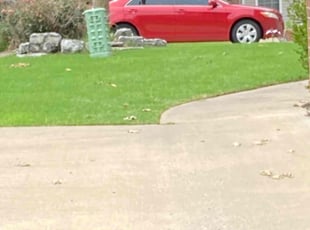 Amy M.'s Lawn Mowing service result