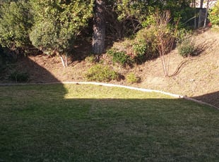 Bush Trimming by Jose Martinez for Virginia N. in Glendale, CA