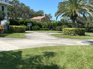 Jacqueline D.'s Lawn Care service result
