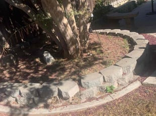 Weeding by Andrea Villalpando for Kelli C. in Riverside, CA