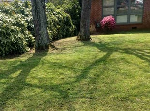 Dean M.'s Lawn Care service result