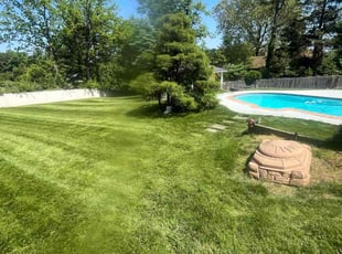Eric H.'s Lawn Maintenance service result