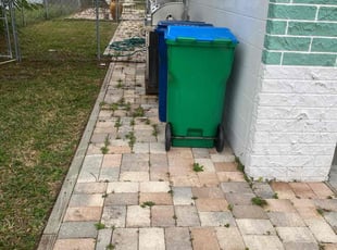 Weeding by Jacob Thompson for Susan A. in Seminole, FL
