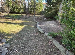 Leaf Removal by Fidel Rodriguez for Patrick H. in Alexandria, VA