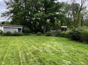 Brandon P.'s Lawn Mowing service result