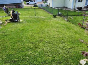 Darryl P.'s Lawn Service service result