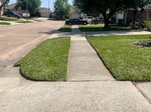 Isabel R.'s Lawn Mowing Service service result
