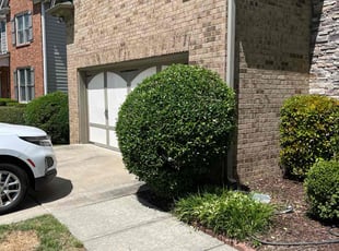 Bush Trimming by Phillip StPreuve for Aeyon K. in Dacula, GA