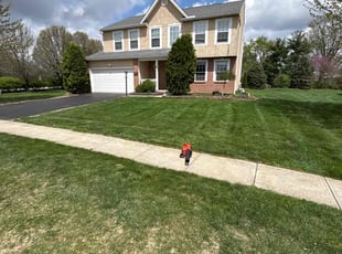 Tanja H.'s Lawn Service service result
