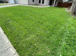 Tiffany W.'s Lawn Mowing service result