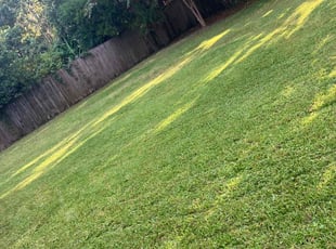 Kevin M.'s Lawn Mowing service result