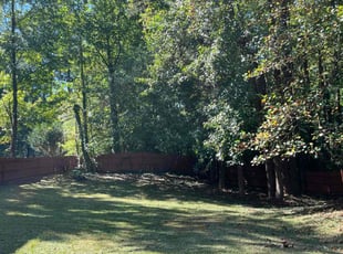 David S.'s Lawn Service service result