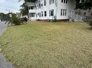 Melvin I.'s Lawn Mowing Service service result