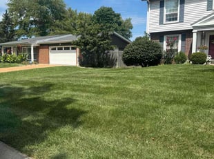 Gina B.'s Lawn Care service result