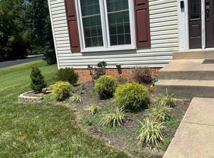 Bush Trimming by Robert Hatton for Philicia J. in Fredericksburg, VA